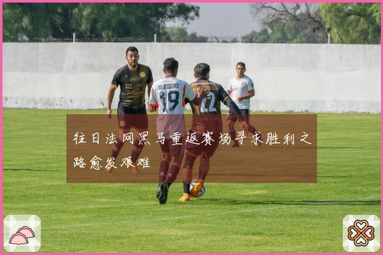 往日法网黑马重返赛场寻求胜利之路愈发艰难